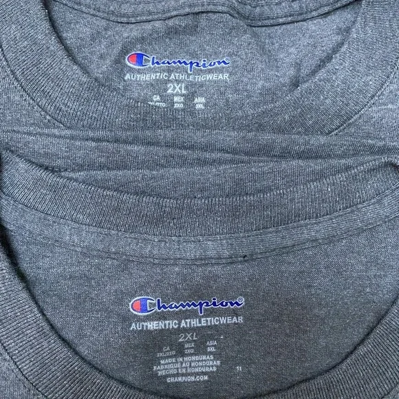NWT & NWOT Champion 2XL T-Shirts, Dark Gray - Set of 2, Athletic & Casual - Picture 2 of 4